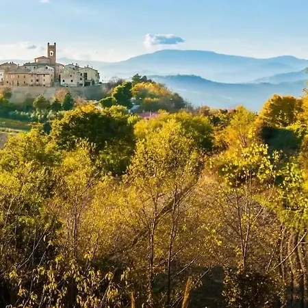 Be Kind * Monte Fabbri